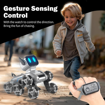 Remote & Watch Control Stunt Spray Robot Dog