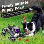 Remote & Watch Control Stunt Spray Robot Dog